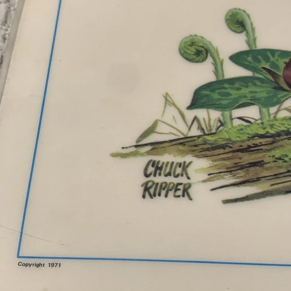 Vtg Set‎ of 2 Chuck Ripper Reversible 17